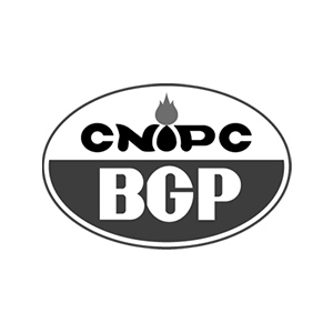 CNIPC BGP